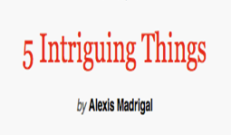 5intriguingthings